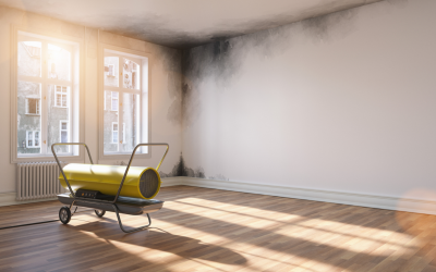 How to remove mould from your home