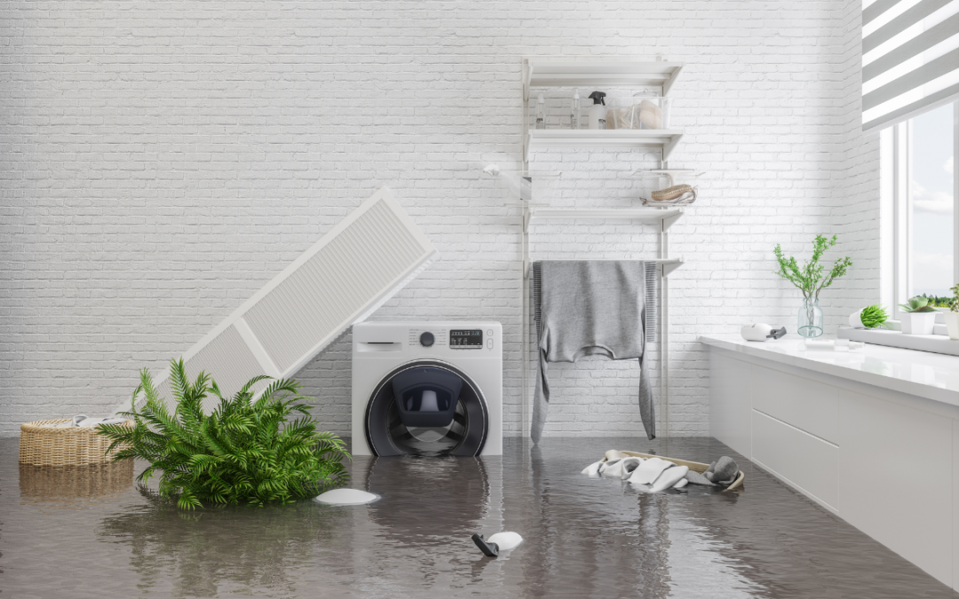 What to do if your property has water damage