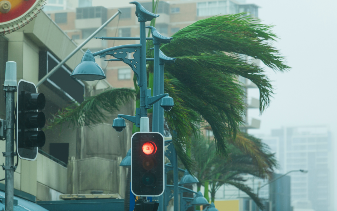 What to do during and after a cyclone – A FRA guide